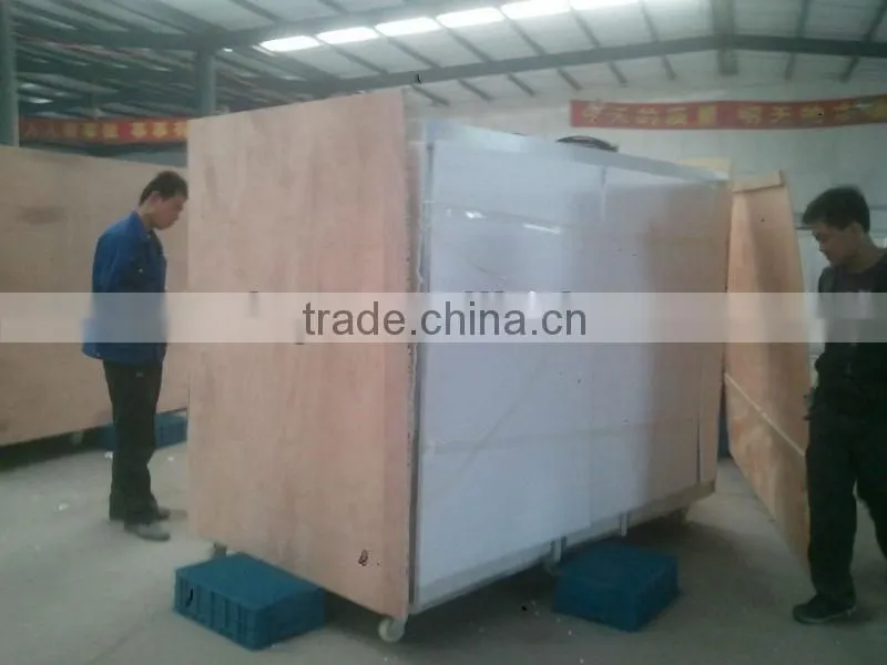Green bean sprout making machine/machinery/maker