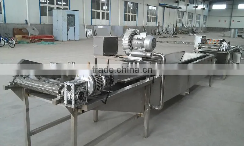 Stainless Steel Automatic Mango Washing Machine