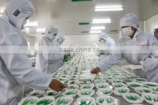 Xinxiang Huaxi Sanitary Materials Co., Ltd. company overview - view 2