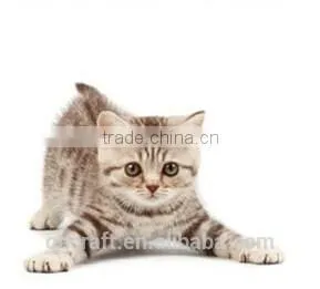2014 hot aimigou pet house