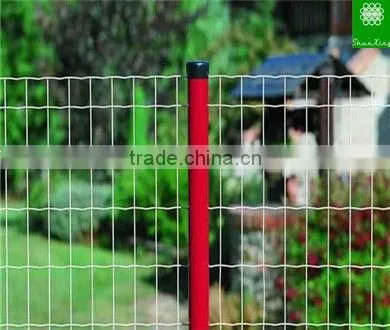 PVC coated holland welded fence (Anping supplier)