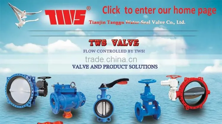 flange type gate valve
