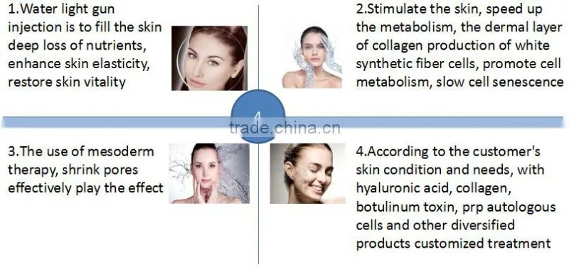 Merry christmas biggest discount! Wholesale skin beauty mesotherapy injector Gun from Korea