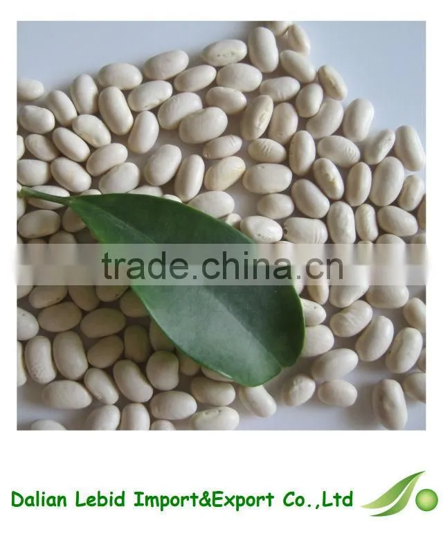 White Kidney Beans Products Price For Sale 2016 Crop
