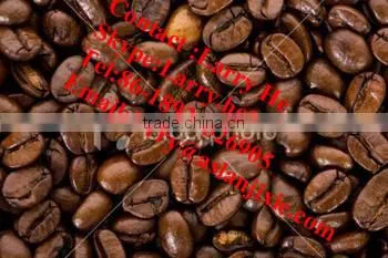 electric coffee bean roasting machine/gas coffee bean roaster