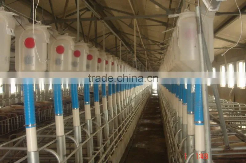 pig equipment pig feeders