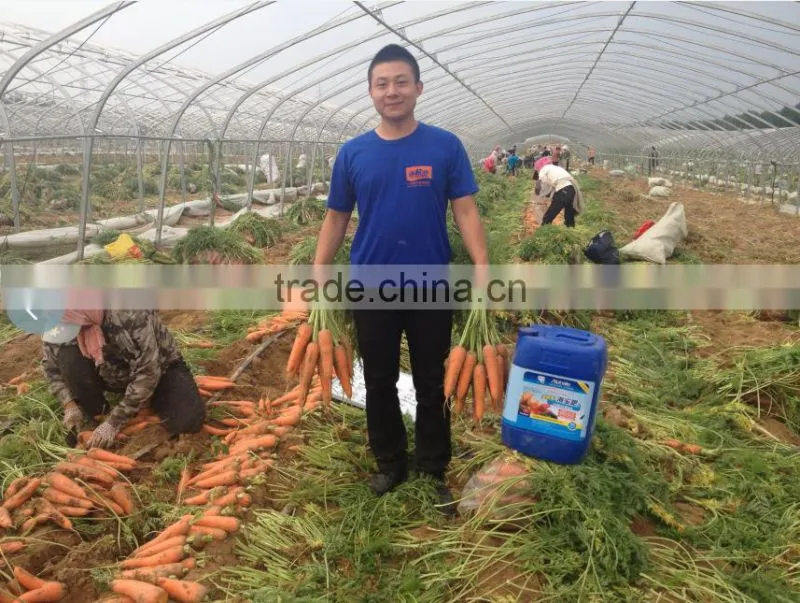 lowest price fertilizer humus fertilizer