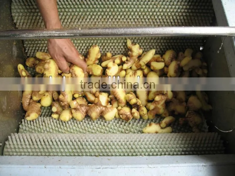 Ginger Washing and Peeling Machine for Sales