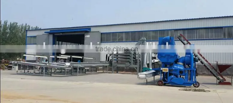 peanut processing equipment/sorter/grader