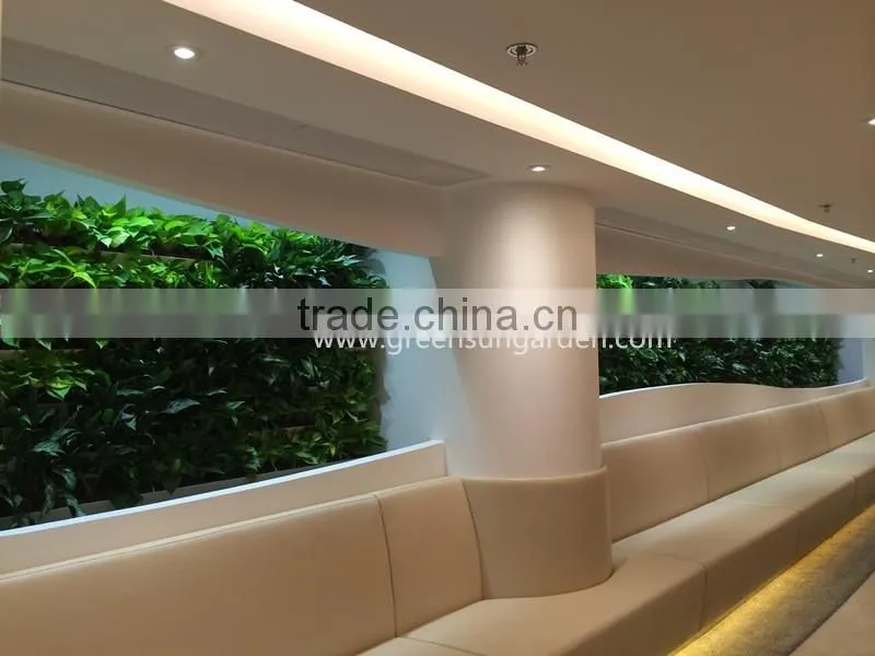 plastic garden structure wholesale hydroponic greenhouse