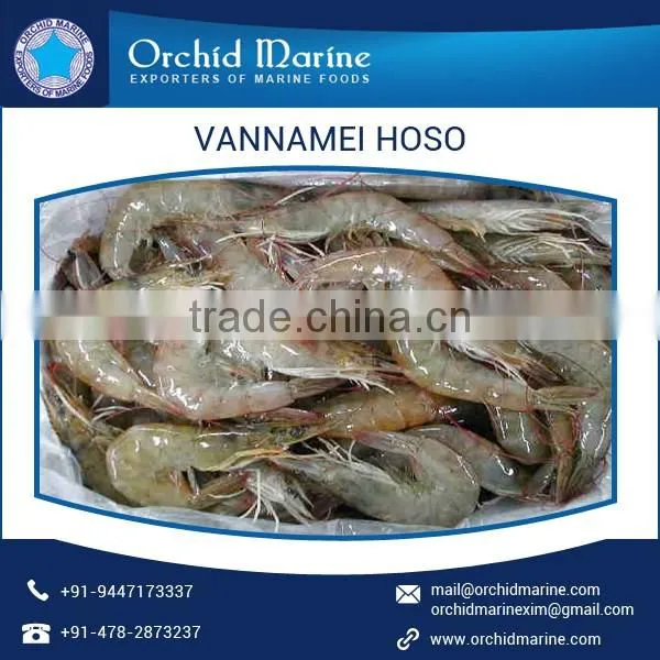 Fresh and Frozen Shrimp at Affordable Price from HACCP Certified Trader