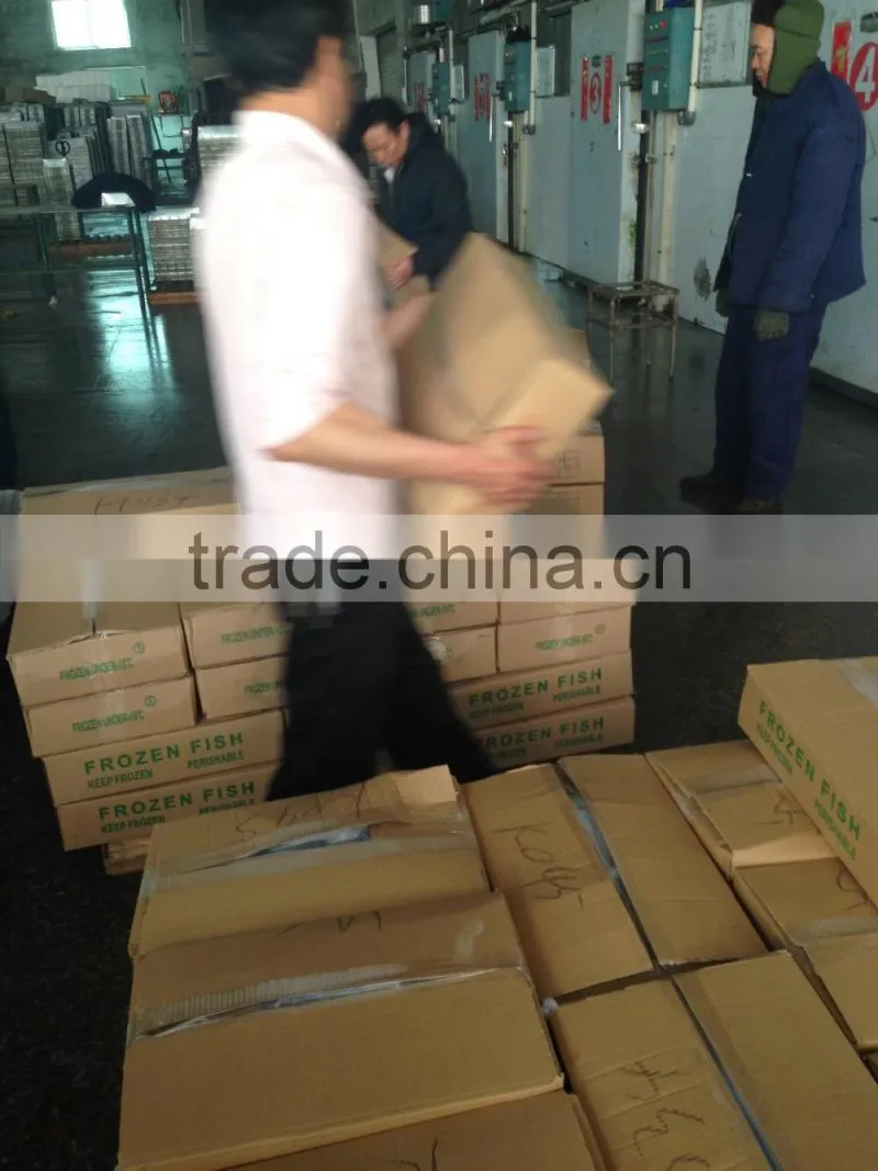 Good quality frozen round scad 10-12pcs/kg