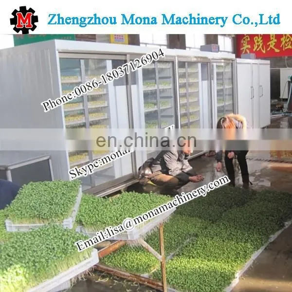 Prior market profession automatic bean sprout growing machine