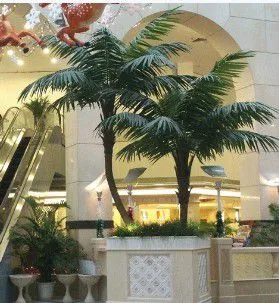 椰子树弯杆