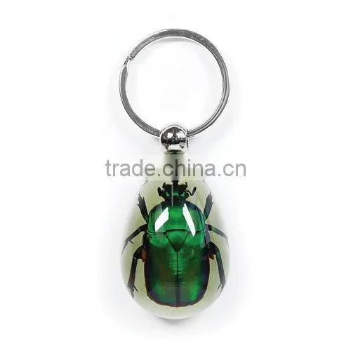 wholesale real flower and insect keychain promotional