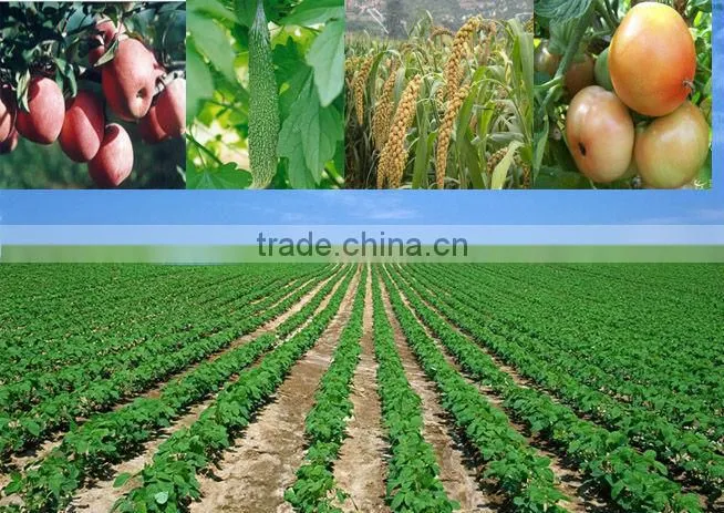 High efficiency Organic fertilizer production line, Manure granulating production line, Granular fertilizer production line