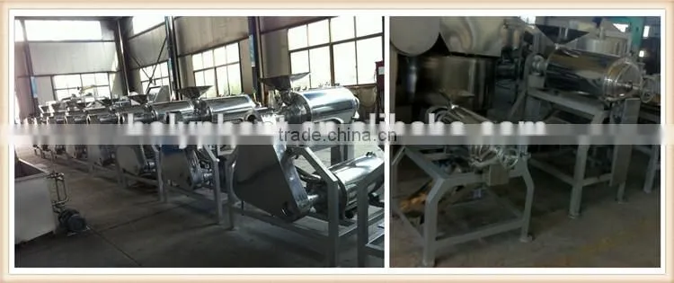 wide output range full stainless steel peach extractor machine