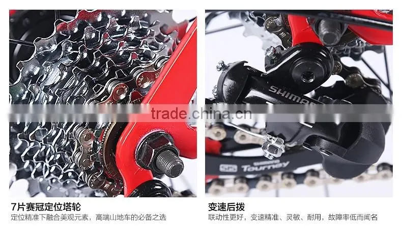 Adult Steel Road Bike /Racing Bike with double brake