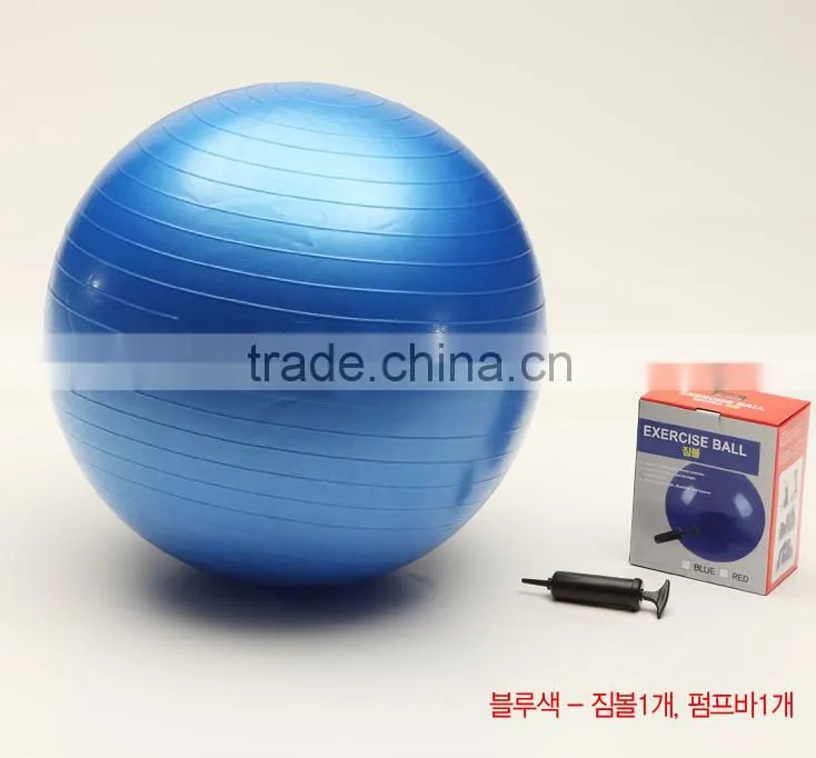 65cm Diameter Gym Ball/ Gym Equipment/ Rack