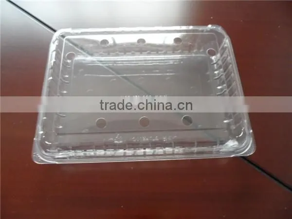 Plastic seasonal fruit packaging boxes of different specification