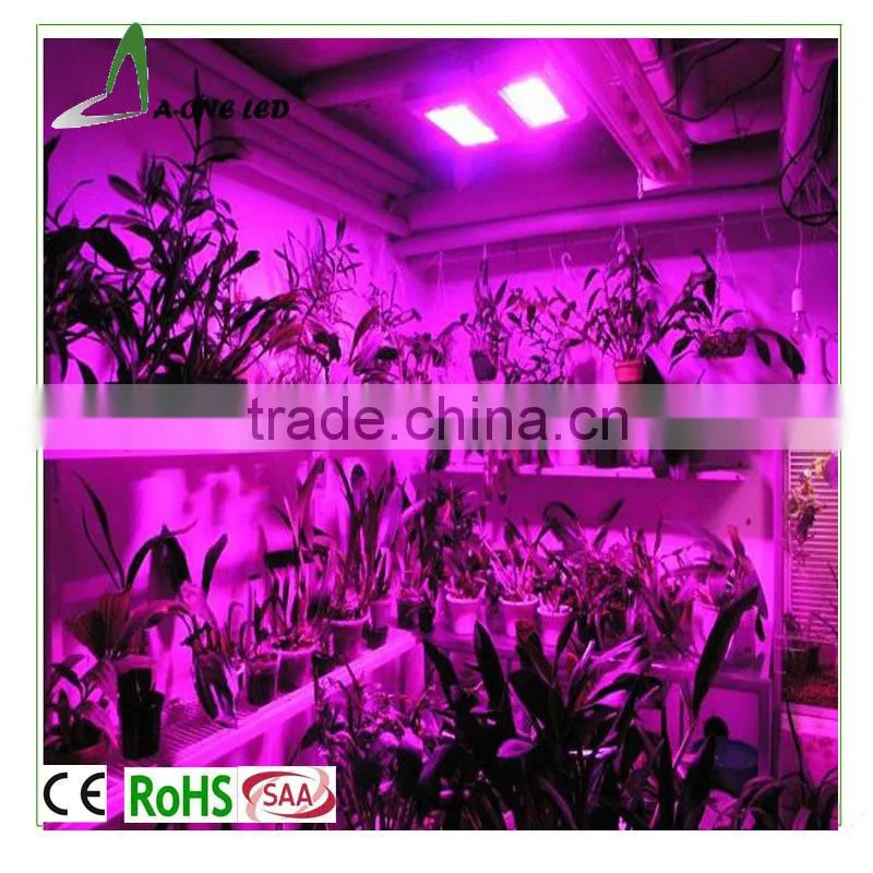 High power led grow light apollo series plant lights 100W bulk buy from China