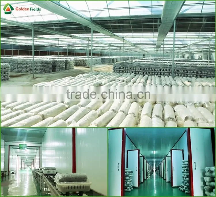 Market Price for Mushroom,Shiitake Mushroom Price,Mushroom For Sale