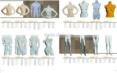 Full-Body of strong men model