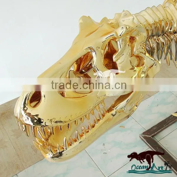 Fashionable showcase decorate golden dinosaur skeleton