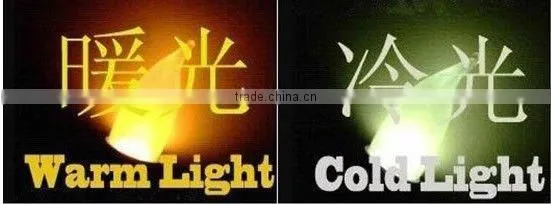 220v Globe fluorescent light bulb