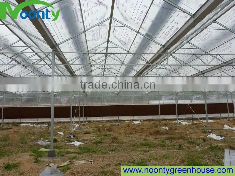 Polycarbonate Sheet Greenhouse