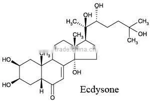 20-Hydroxyecdysone CAS 5289-74-7 Certified with ISO, HACCP, HALAL, KOSHER