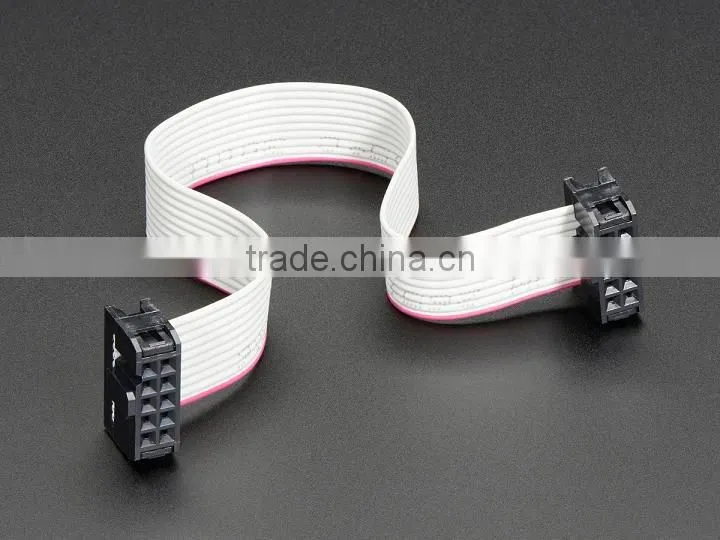 10 Pin socket/socket IDC Cable