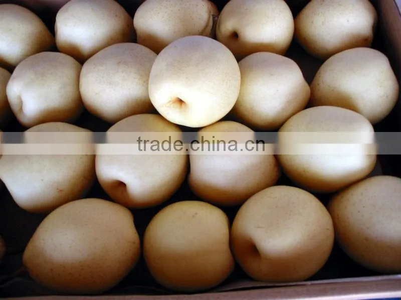 2012 ya pear sot sale