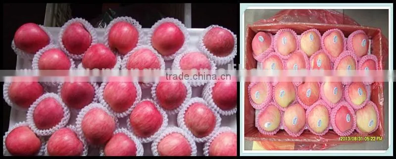 sell Fresh Apple fruit of high quality and good price