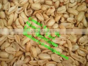 nut roasting oven/peanut roaster machine/peanut baking oven