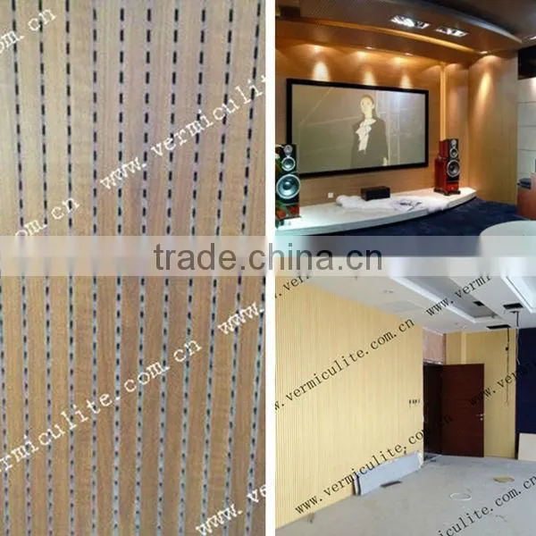 Insect resistant acoustic vermiculite panel