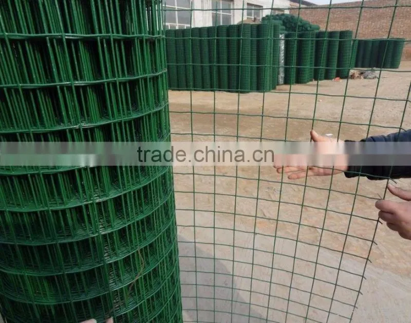 green pvc coated welded holland wire mesh