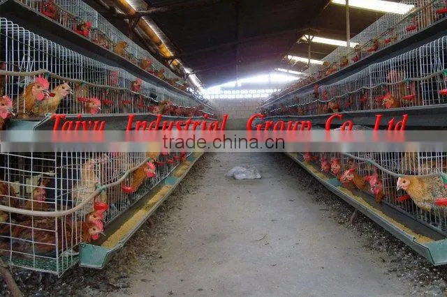 chicken cage for layers,breeders and chicks