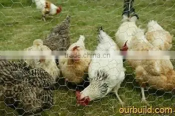 high quality hexagonal wire mesh