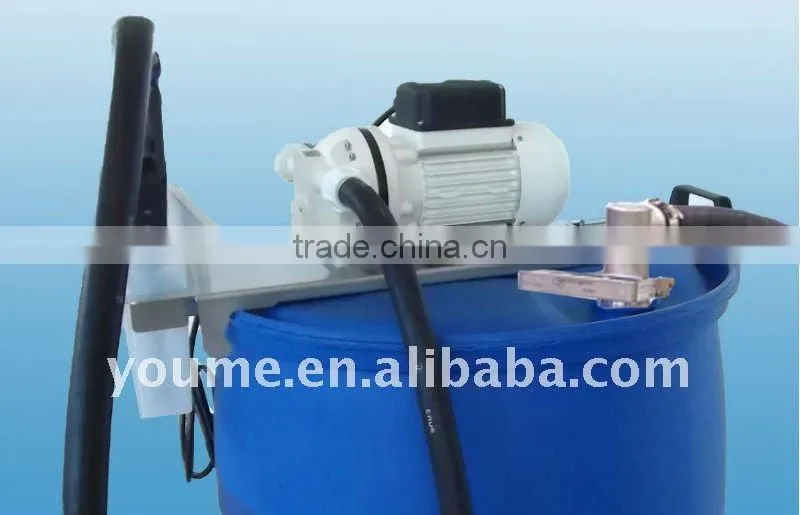 12V/24V/115V/220V/230V high flow chemical liquid transfer pump
