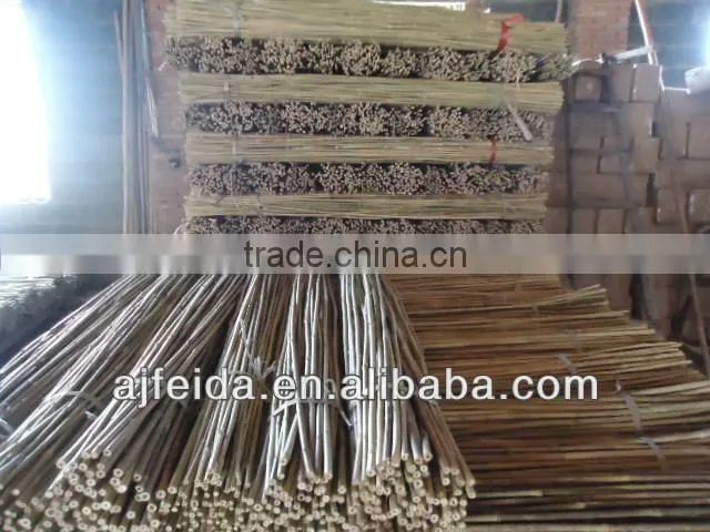 FD16-Bamboo 8' 24/26mm support apple tree growing