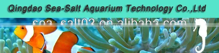 Fish Farming Aquaculture Sea Salt