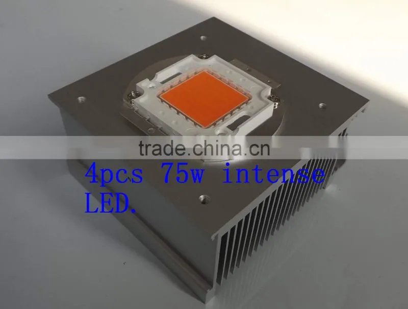 U.S.A. market 300W COB LED grow light for hydroponic growing systems Vanq classical