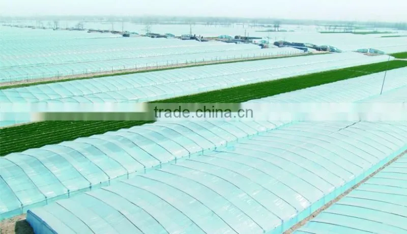 agriculture greenhouse with good quanlity