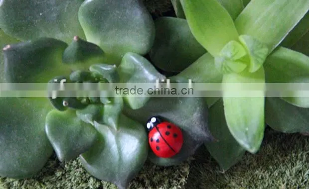 DIY decoration cute micro landscape accessories wood ladybug ornaments crafts