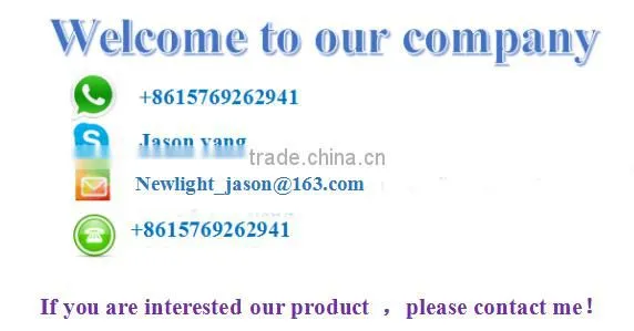 christmas led lights / christmas tree decorations light/laser christmas light