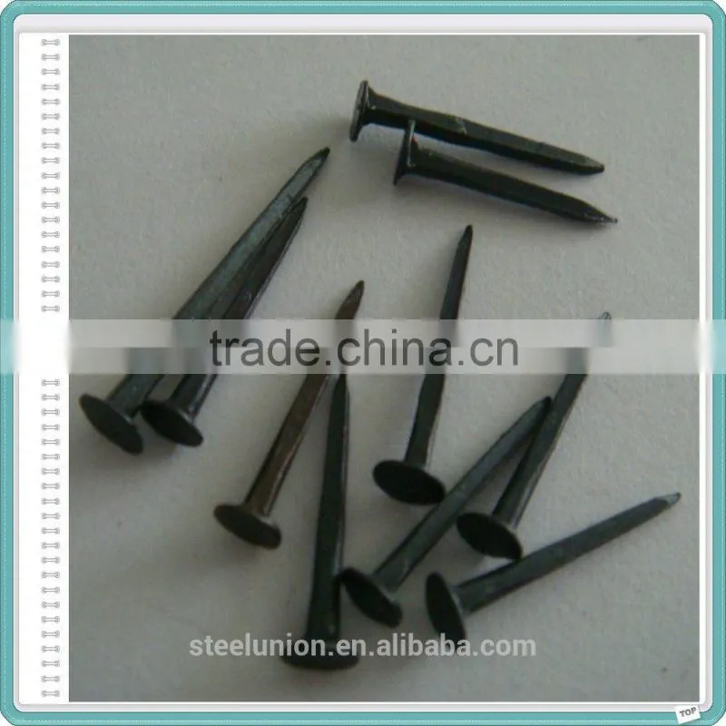 Bulk Different Size Blue Shoe Tack Nail