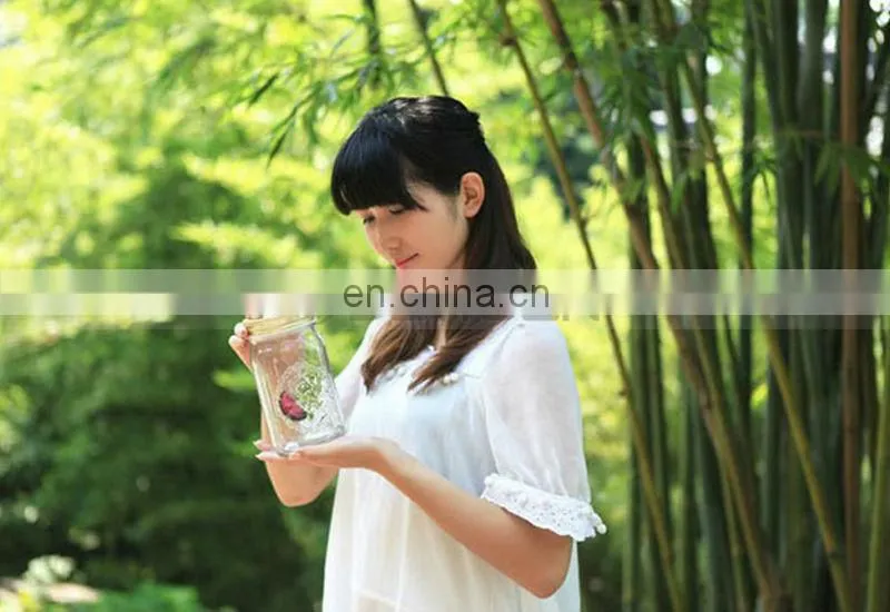 Factory Direct Sell Popular Attractive Butterfly Glass Jars