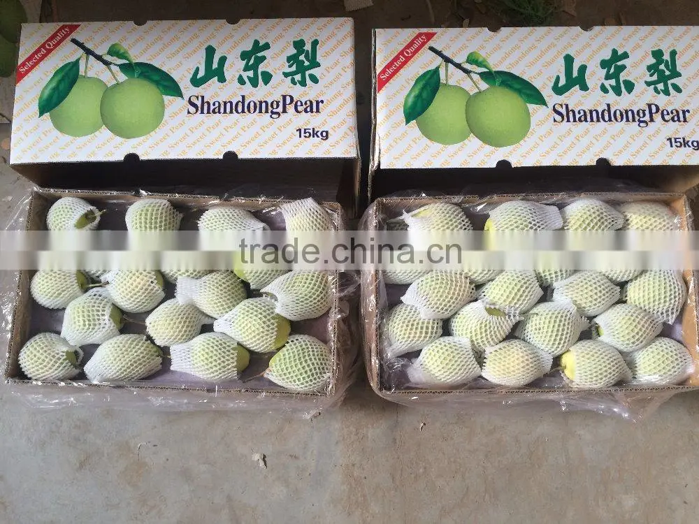 Good Qulity Fresh Shandong Pear Export To India