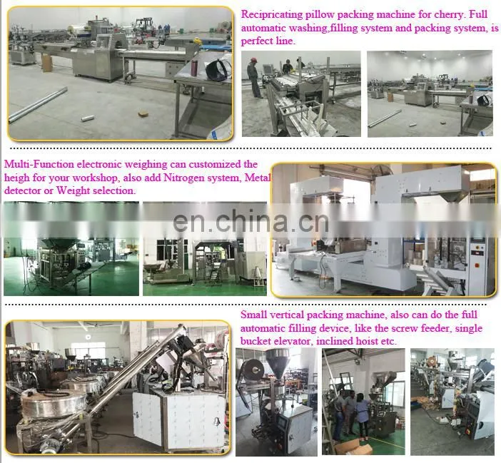 Roasted Seaweed Packaging Machine with Tray Automatic Packing
